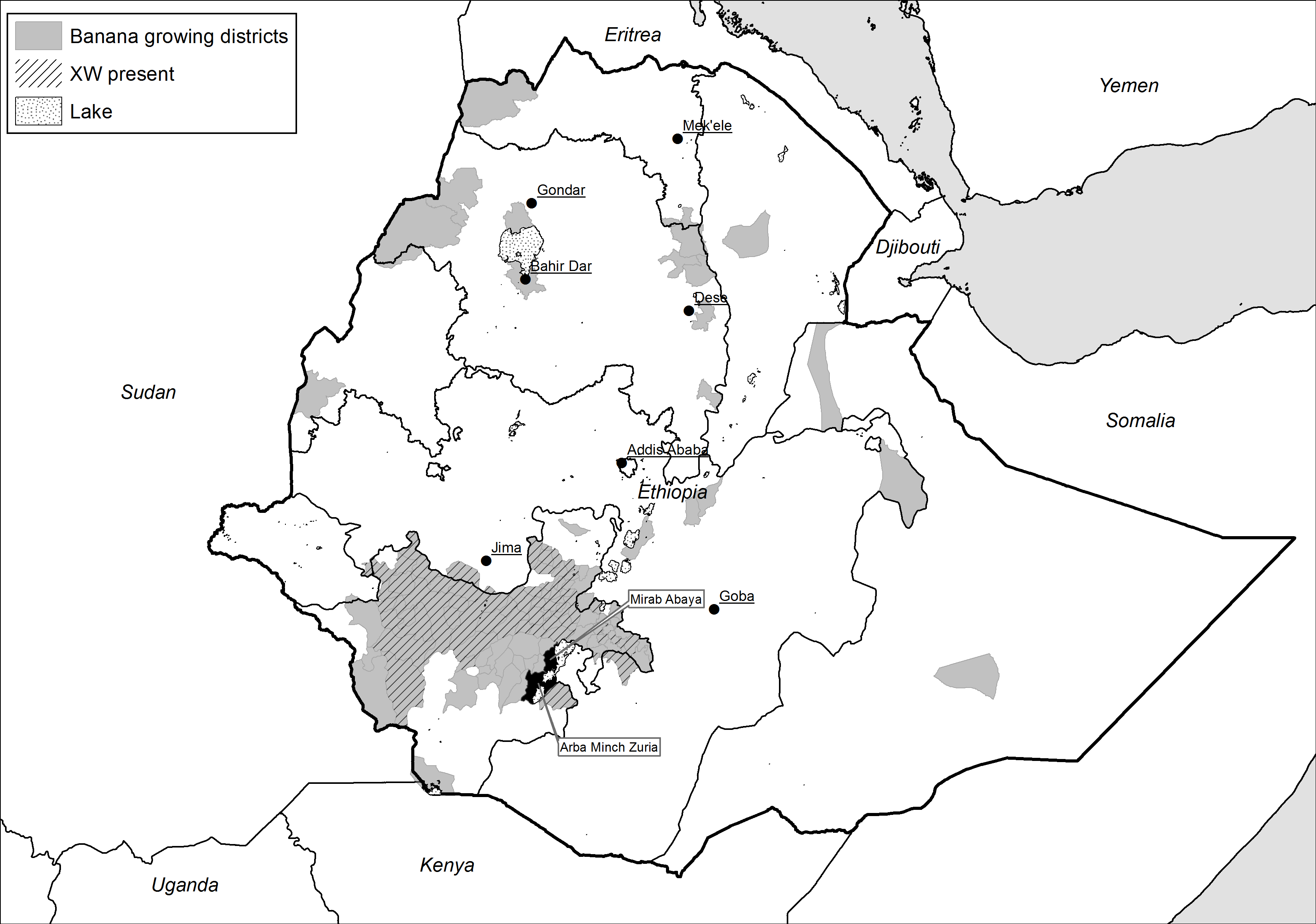 Map of banana and disease distribution in Ethiopia